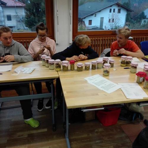 Vorbereitung Adventmark